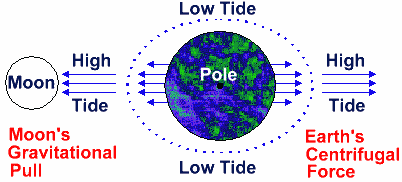 Tide Chart For Steinhatchee Florida
