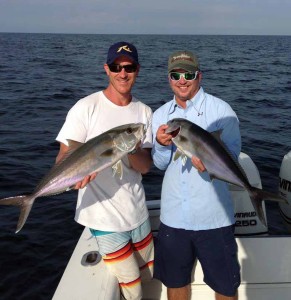 Dave Schleissing and Bob Cousins found these amberjack on some offshore structure. 
