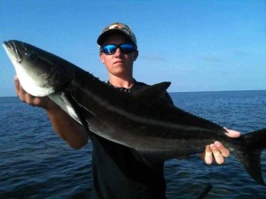Jason Ogden with a fine cobia, caught fishing with Sea Hag’s Derek Snyder. 