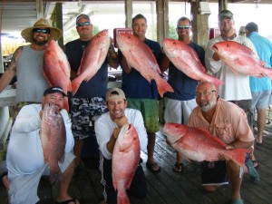Tommy Butler, John Fidi Matt and Paul Rogers and crew with a great snapper catch, reds and mangroves
