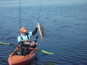 Jerry McBride from Jensen Beach with a gator trout and upper slot redfish caught kayaking bars and rocks near the river. (jerry1 and 2)