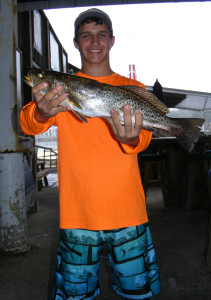 Brett Molzen from Bell caught this fine trout near the Steinhatchee River.