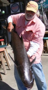 Judge Dave Reiman with a giant cobia. 