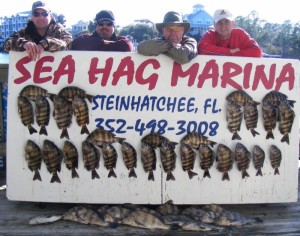 The sheepshead have arrived….just ask Jim Kilgore, Mark Futch, BJ Lovett and Lee Waldrop on a trip down from Georgia. sheepshead as well. 
