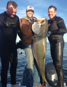 Take a look at this amberjack taken on a spearfishing trip by Rick Blackwell, Ben Keeler and Mark Hodge