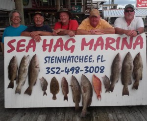 These beautiful grouper were taken by Gene Frazier’s charters on the Neva Miss. 