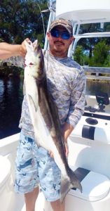 Cheech Graham with a keeper cobia, one of many taken this month. 