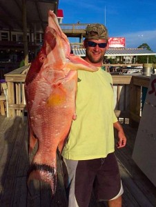  This time of year spearfishing is a great way to catch the big ones. Brandon Forshee with his monster hog snapper. 