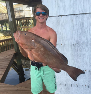 Justin Welch brought back this fine red grouper from a spearfishing trip. 