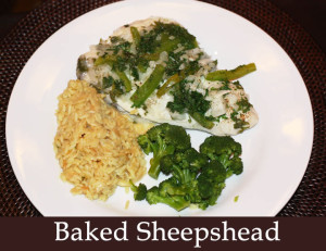 Baked Sheepshead