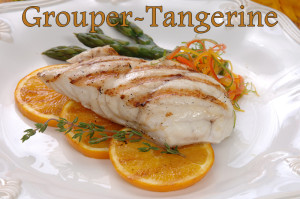 Grouper-Tangerine2