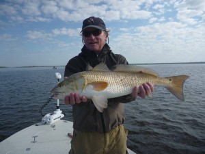 Fred Alt, visiting from Massachusetts, found this perfect 27 inch redfish near Big Grass Island, also on a topwater plug.