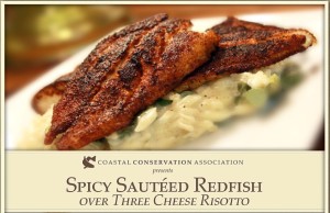 Spicy Sauteed Redfish