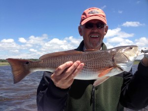Marshall Adams and Don Milleman found these redfish fishing with me south of the river. 