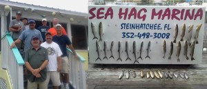 An example of a great inshore mixed bag, caught by a group from S&P Ventilation in  Jacksonville. Bluefish, Spanish mackerel, sand trout, speckled trout, redfish, and even a few black seabass. 