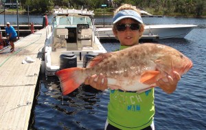 Ty Jackson was fishing a threadfin herring when he nailed this excellent red grouper.