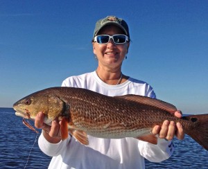 Jan Barnett and Glen Maddox fished with me and Jan found this excellent redfish.