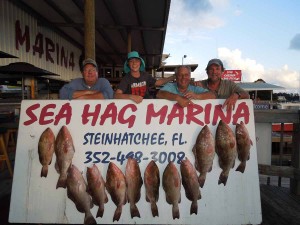 Steve Hess, Buddy Mueller, Scott Bly and Brad Mueller were fishing for red grouper in 60 feet of water and had a good day.