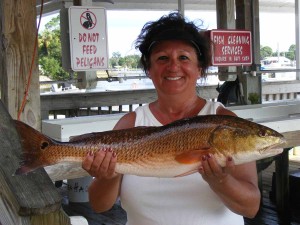 Tammy Wood Barrett, from Mt. Airy, Georgia nailed this fine redfish fishing close to shore.