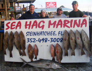 Also from the beginning of the month, Jeremy King, Anna Patterson, Thane Markham and Kelby Sanchez with gag and red grouper, mangrove snapper and an amberjack. 