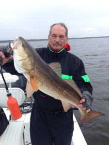 Bob Barnett fished out of Keaton Beach and came up with this overslot redfish. 