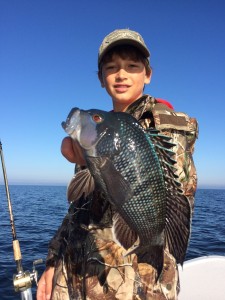 Chase Norwood fished in 30 feet of water to find a bunch of these giant black sea bass. 