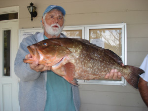 Judge Dave Reiman landed this fine red grouper during the Steinhatchee Community Tournament.