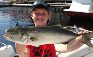 Dalton Rogers from Griffin, Ga. found this giant bluefish while fishing with his family. 
