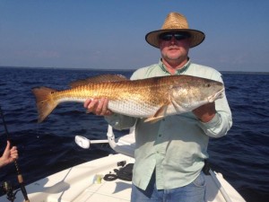 David Holt nailed this overslot 36 inch redfish. 