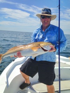 Paul Young found this overslot redfish while grouper fishing. 
