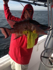 James Simpson with a fine hog snapper heading for the dinner table. 