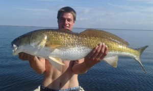 Justin Myers with a fine bull redfish.