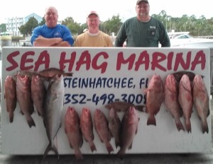 How about this mixed offshore catch of red grouper,  mangrove snapper and one nice amberjack? Dean Baker, Frank Sheffield, and Glenn Corbett from Starke are responsible. 