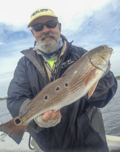  I found this four-spotted redfish....