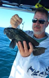 Derek Simpson with a fine example of a very tasty black sea bass. 