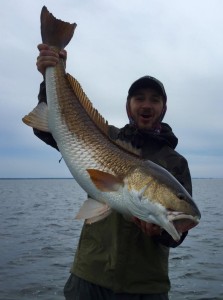 Chris Oliver with a beautiful overslot redfish.