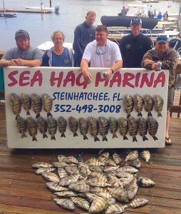 Capt. Gene Frazier took this crew out and filled the box with sheepshead. 