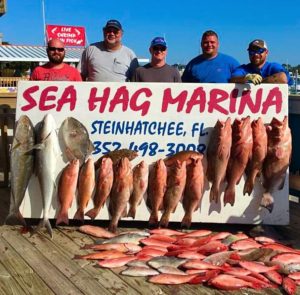 If you’re willing to go way way offshore, like the Corbett group, you’ll find lots of big red grouper, amberjacks, cobia and snapper. 