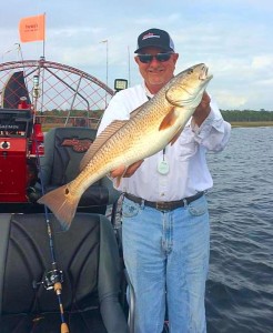 Steve Graham went in the backwaters for this redfish. 